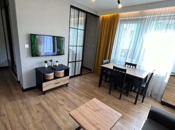 Nieborowska Loft - Stylish 公寓